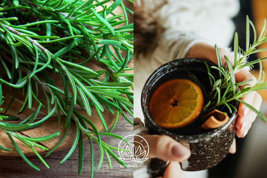 Herb of the Month: Rosemary
