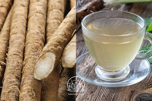 Herb of the Month: Burdock Root