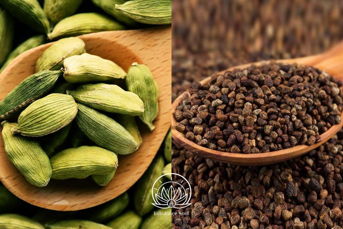 Herb of the Month: Cardamom