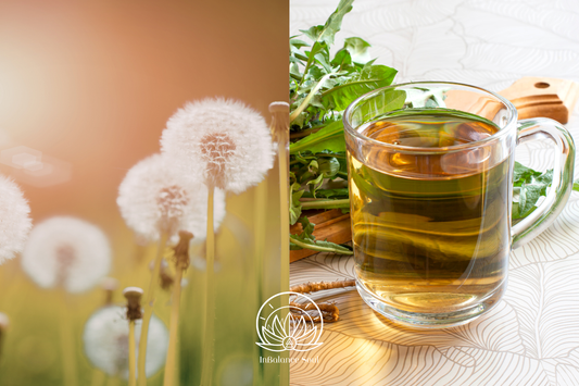 Herb of the Month: Dandelion Root