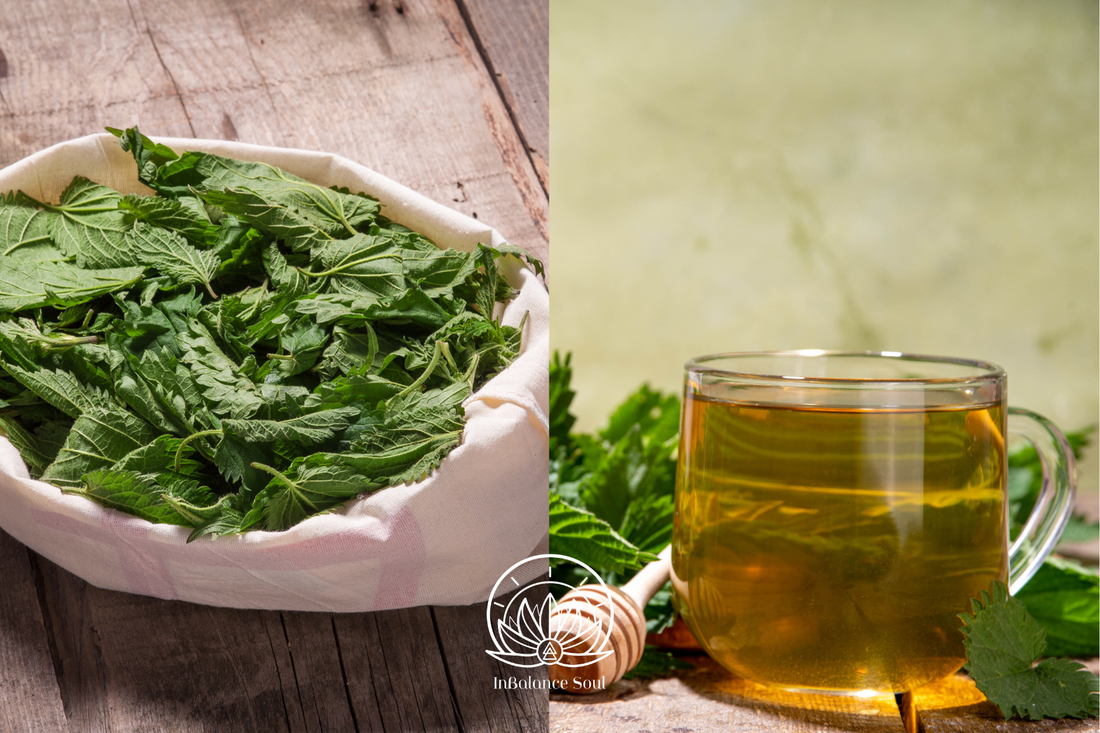 Herb of the Month: Stinging Nettle