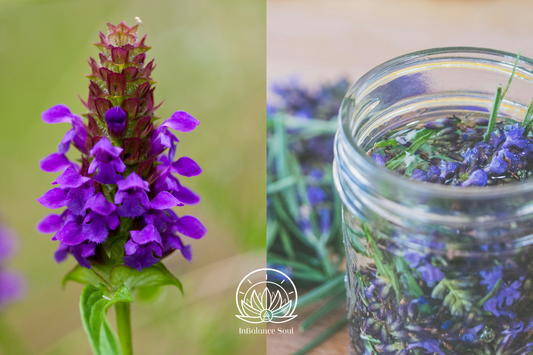 Herb of the Month: Self-Heal
